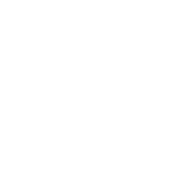 Soland Foundation icon